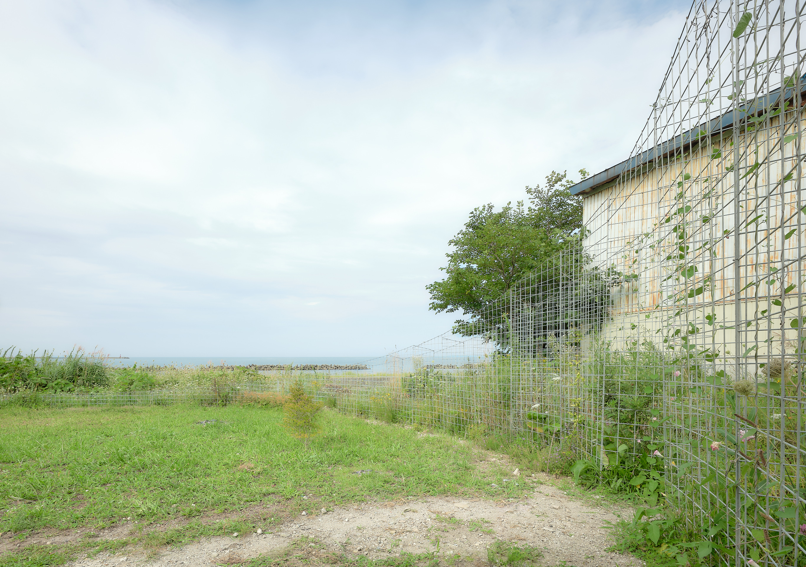 夏の家 / Summer House