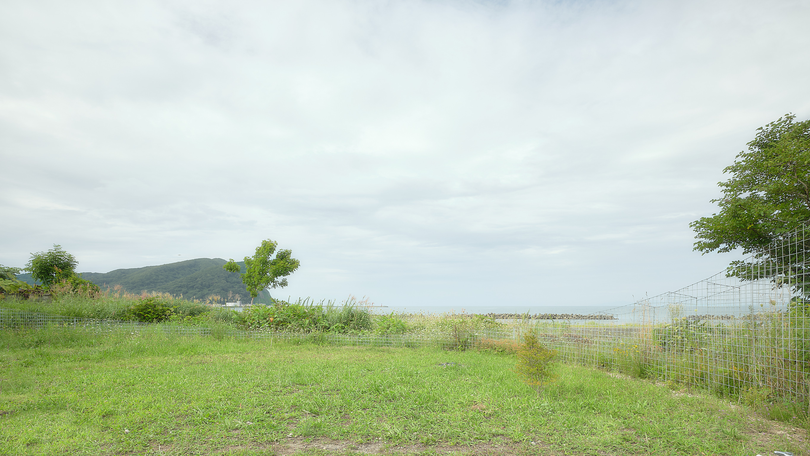 夏の家 / Summer House