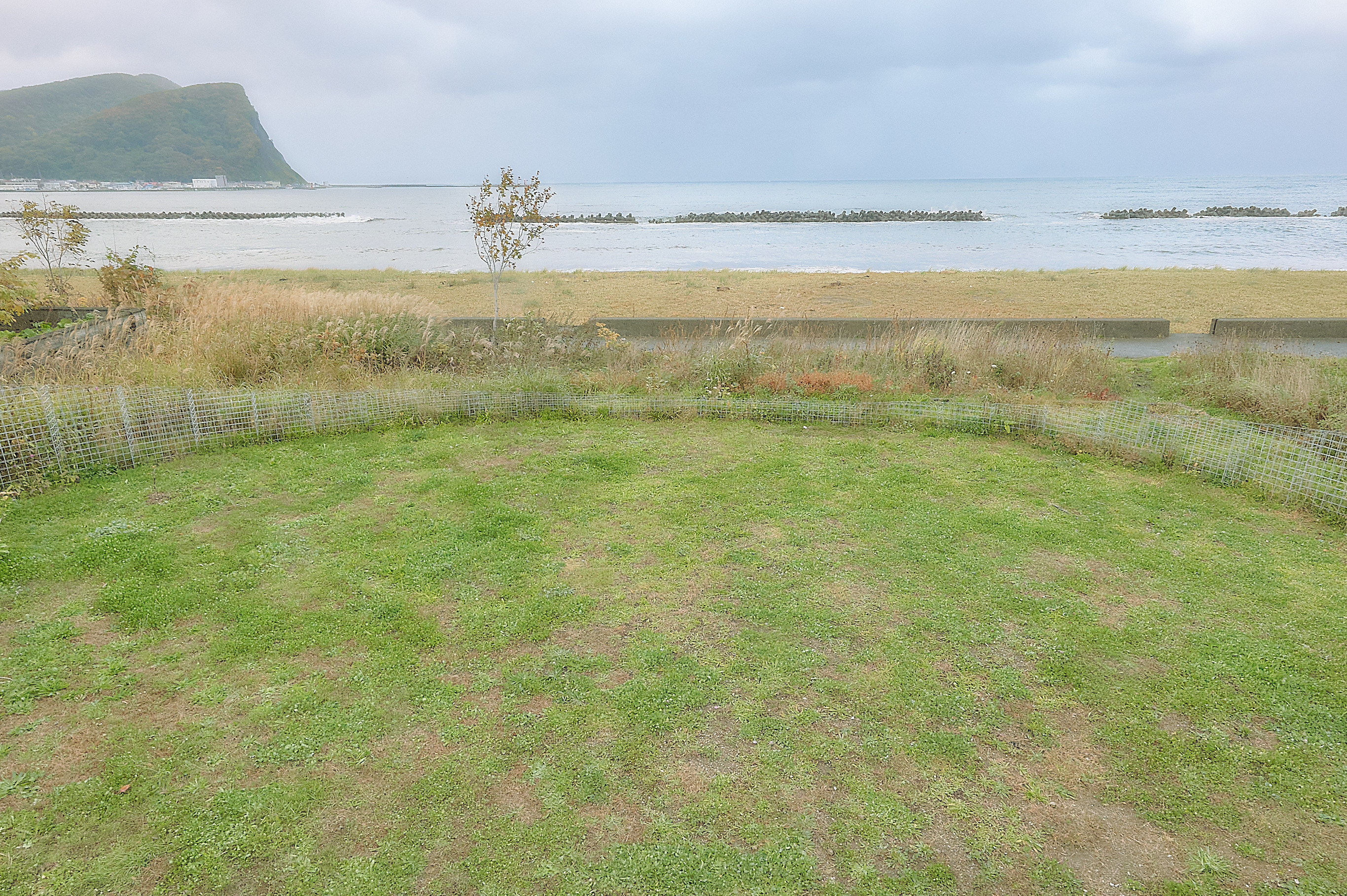 夏の家 / Summer House